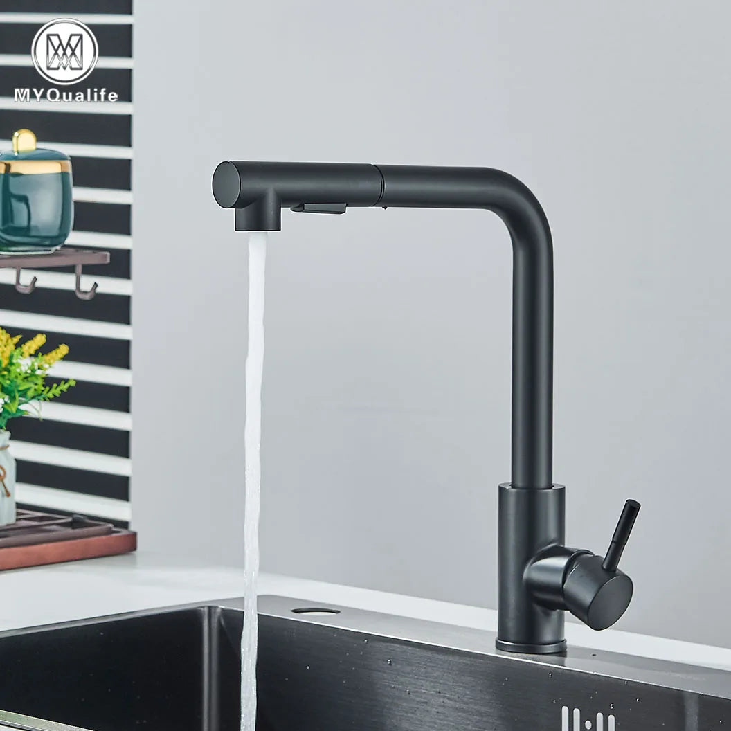 Black Pull-Out Kitchen Faucet – Dual Mode Sprayer with Hot & Cold