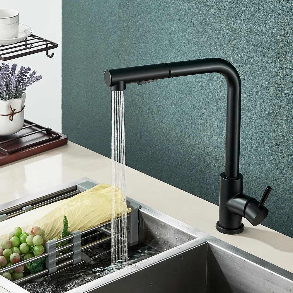 Black Pull-Out Kitchen Faucet – Dual Mode Sprayer with Hot & Cold