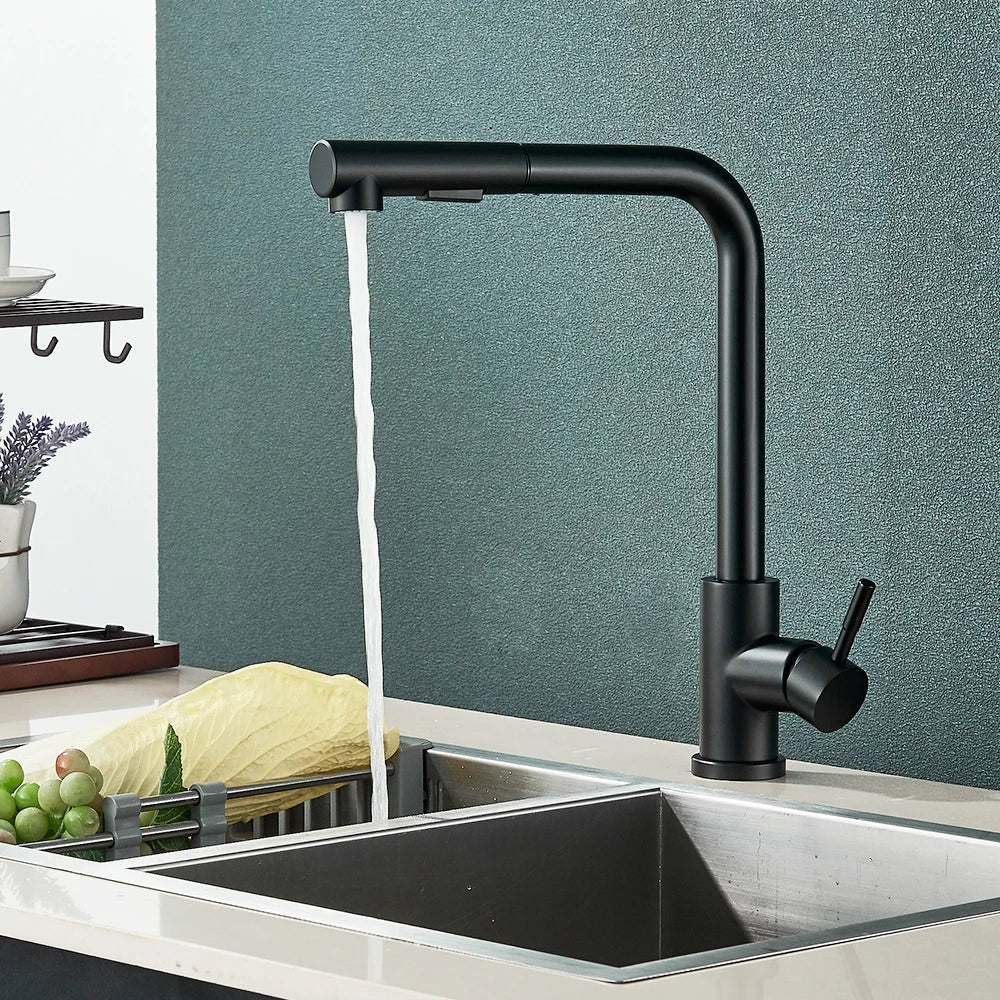 Black Pull-Out Kitchen Faucet – Dual Mode Sprayer with Hot & Cold